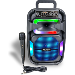 BONTEMPI 49 1030  Amplificatore Wireless Karaoke con Microfono Dinamico, Effetti Luminosi, Alti e Bassi, 38,2x24,9x21,9 cm Nero