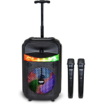 BONTEMPI 49 1070  Cassa Trolley Acustica Wireless con 2 Microfoni, Luci RGB, Telecomando, Display, Funzione TWS, 39x22x19 cm