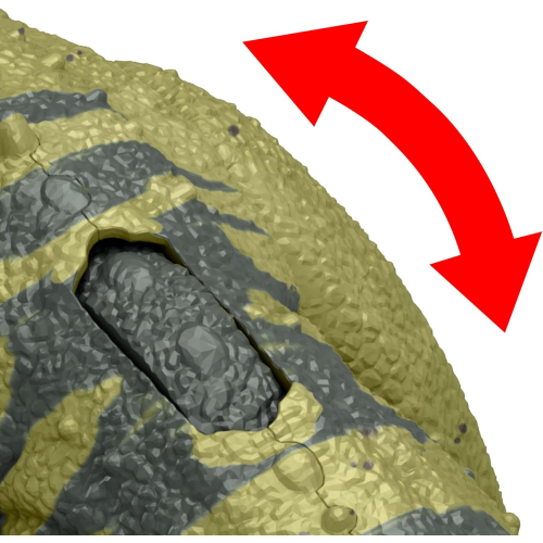 MATTEL HTK74 JURASSIC WORLD CHAOS THEORY, Teoria del Caos Netflix - Wild Roar Ceratosaurus - 4 ANNI+