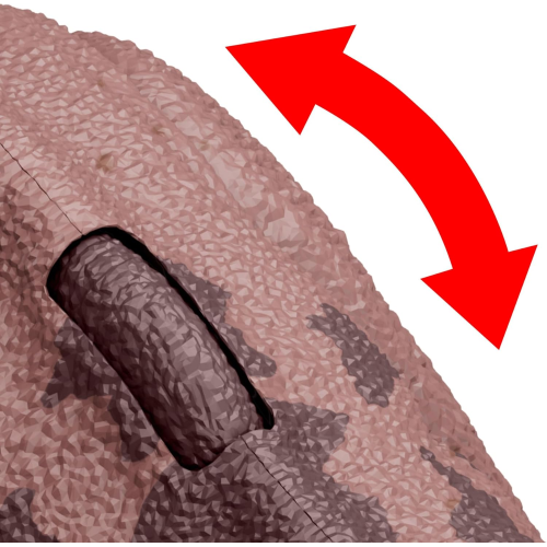 MATTEL HTK72 JURASSIC WORLD CHAOS THEORY, Teoria del Caos Netflix - Pachyrhinosauro Ruggito Selvaggio - 4 ANNI+