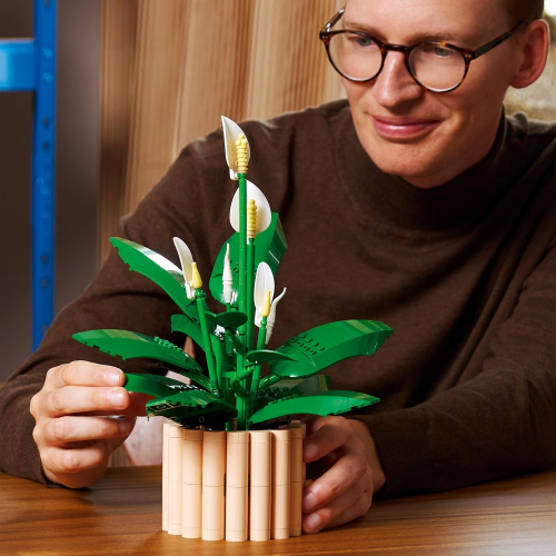 LEGO 11504 BOTANICAL COLLECTION Spatifillo - Set per Adulti di Piante Artificiali con Vaso, Fiori Bianchi Finti e Boccioli 