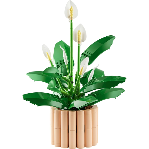 LEGO 11504 BOTANICAL COLLECTION Spatifillo - Set per Adulti di Piante Artificiali con Vaso, Fiori Bianchi Finti e Boccioli 
