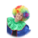 PARRUCCA CLOWN RAGAZZO 6PAR-0016