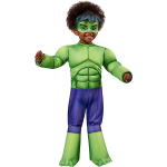 COSTUME HULK SPIDEY AMAZING FRIENDS 24/36 MESI TAGLIA XS 702737