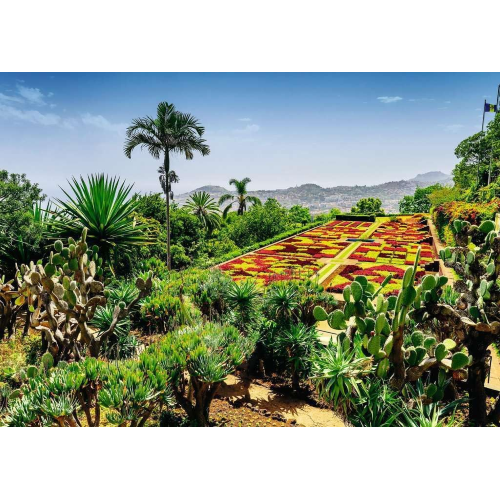 RAVENSBURGER 08538 PUZZLE 1000 BOTANICAL GARDEN, MADERA