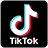 Seguici su TikTok